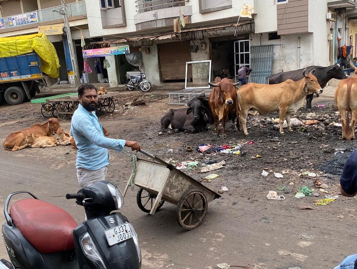 વેરાવળ સોમનાથના જાહેર માર્ગો- વિસ્તારોમાં પાલીકા જ ખુદ ગંદકી ફેલાવી રહ્યુ છે ?